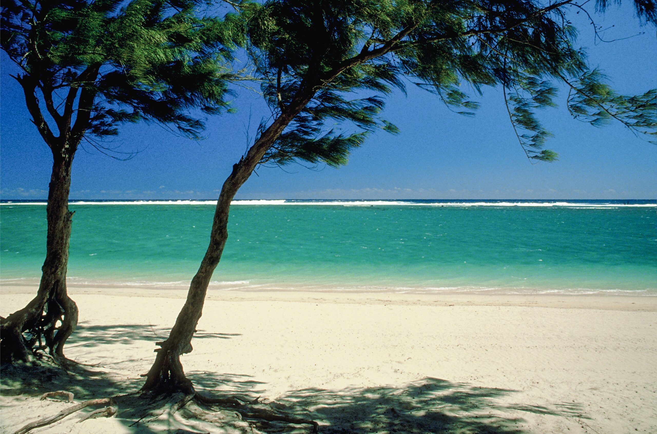 conciergerie la Réunion — Les plus belles plages de l’île de la Réunion à découvrir pendant votre séjour.