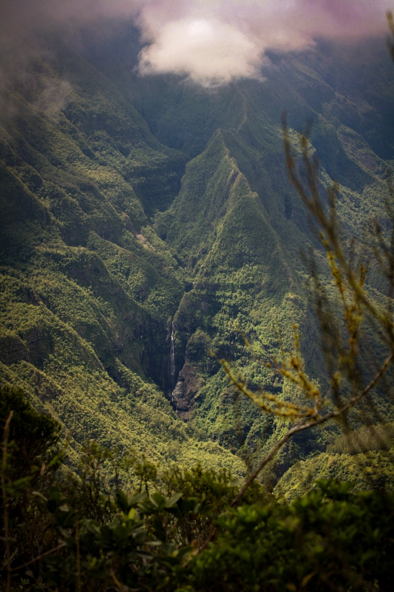 vacation rental Réunion — Annual festivals and cultural events on the island of Réunion.