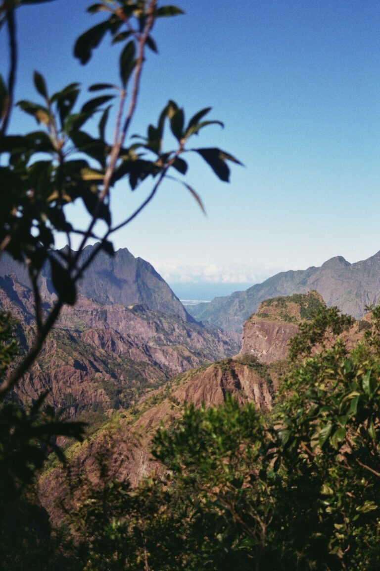 eine Aussicht auf ein Bergmassiv mit Bäumen im Vordergrund