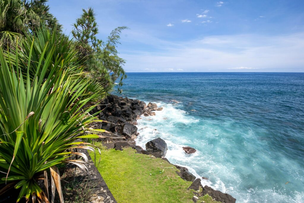 a lush green hillside next to the ocean
