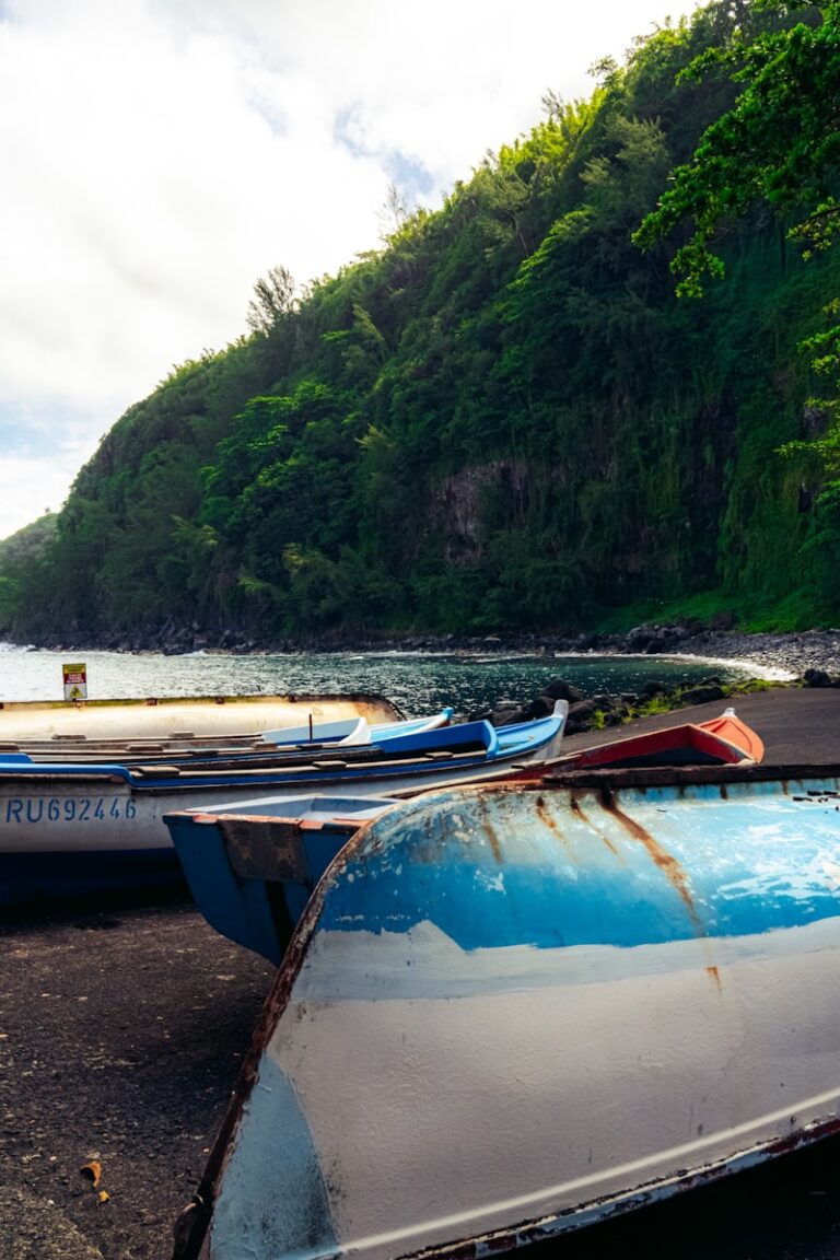 A group of boats sitting on top of a beach