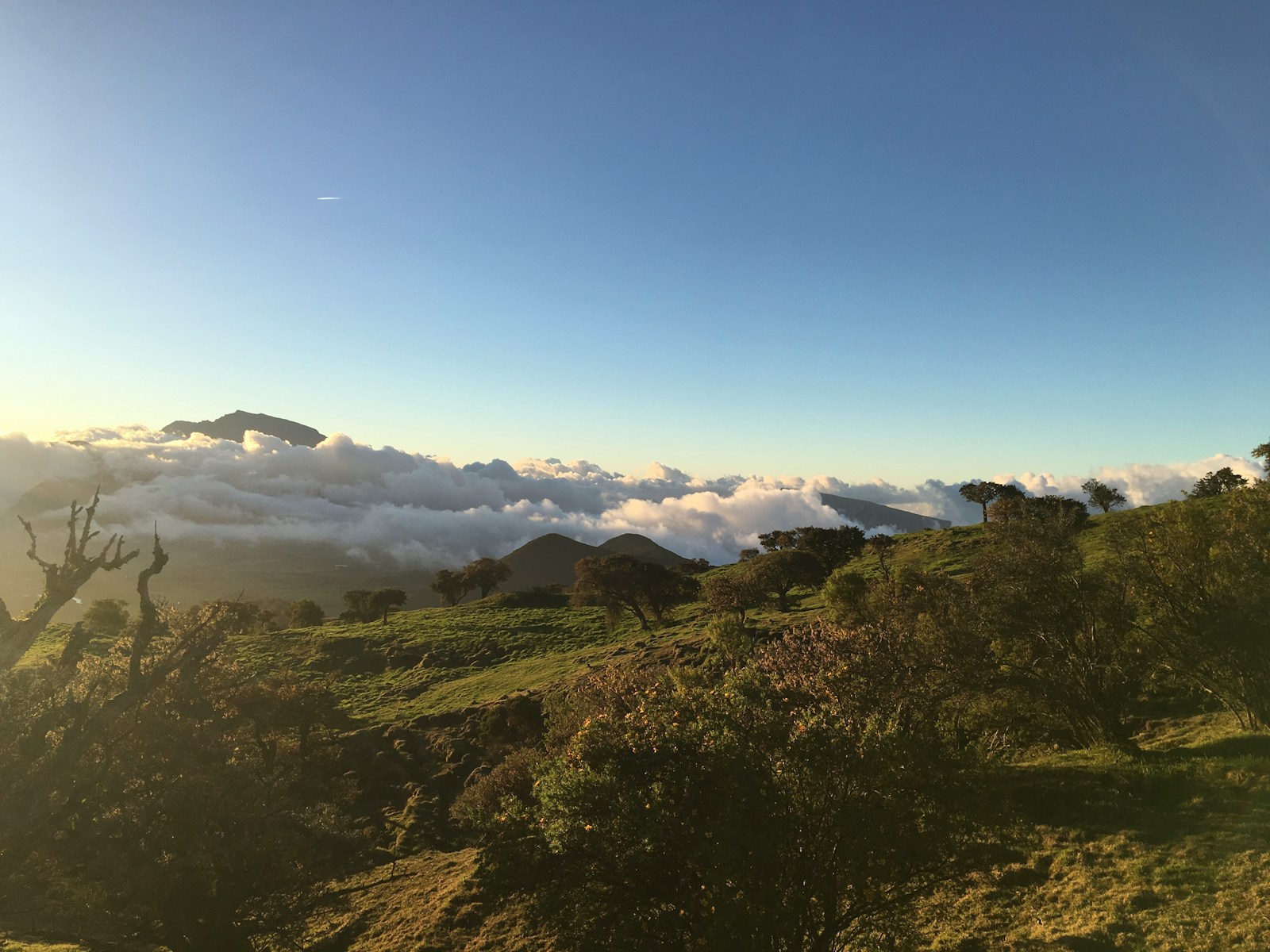 location saisonniere La Réunion — Budget pour un séjour d’une semaine sur l’île de la Réunion.
